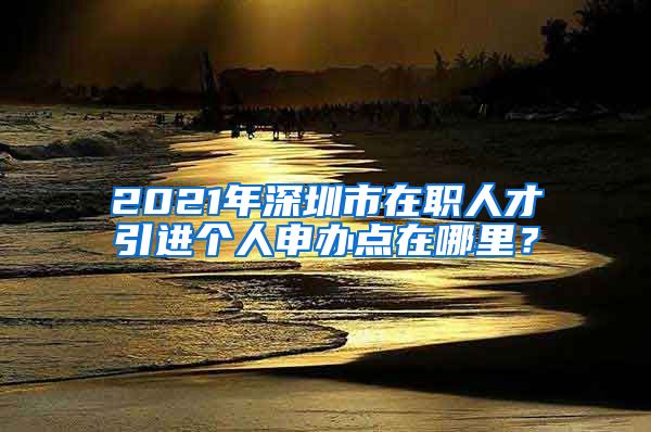 2021年深圳市在职人才引进个人申办点在哪里？