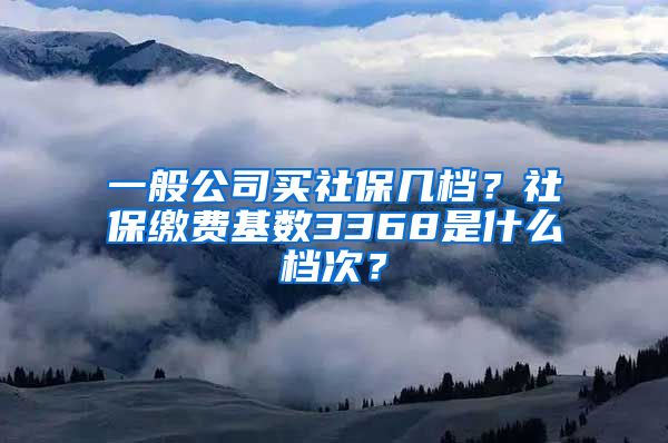 一般公司买社保几档？社保缴费基数3368是什么档次？