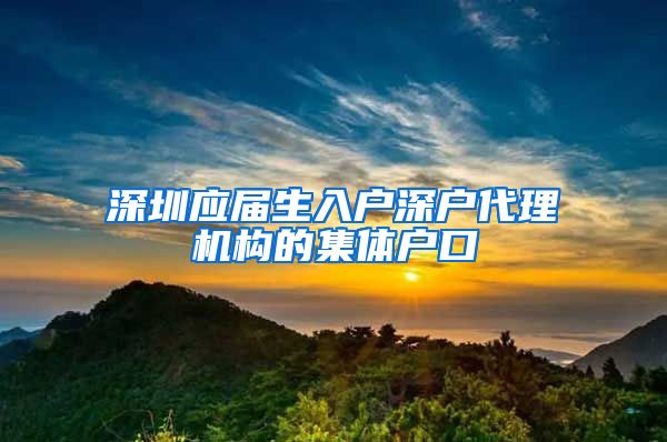 深圳应届生入户深户代理机构的集体户口