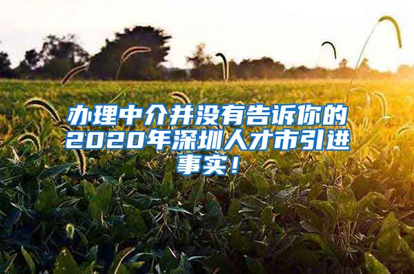 办理中介并没有告诉你的2020年深圳人才市引进事实！