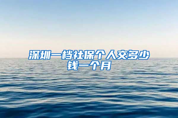 深圳一档社保个人交多少钱一个月