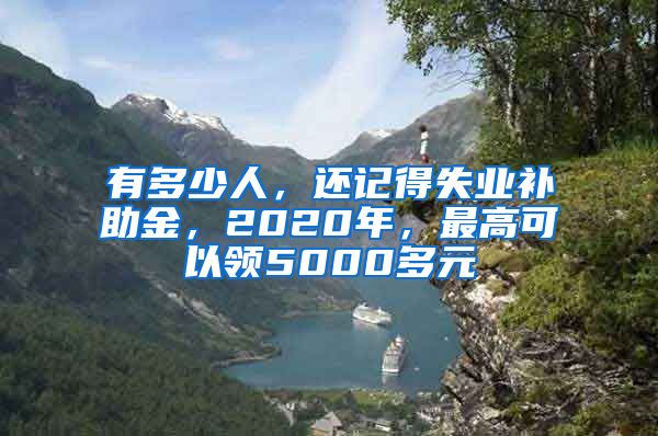 有多少人，还记得失业补助金，2020年，最高可以领5000多元