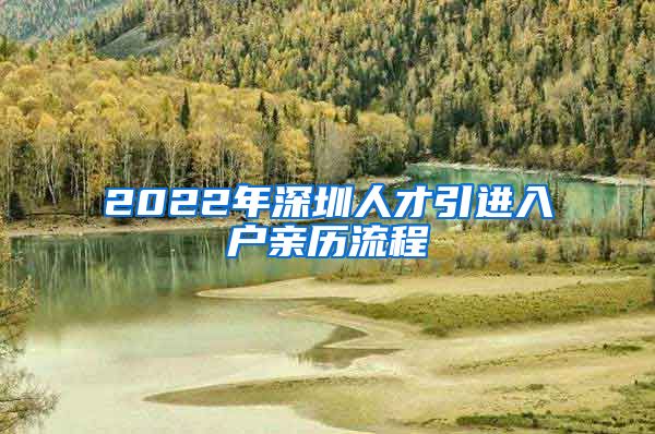 2022年深圳人才引进入户亲历流程