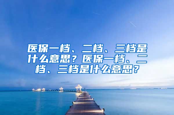 医保一档、二档、三档是什么意思？医保一档、二档、三档是什么意思？