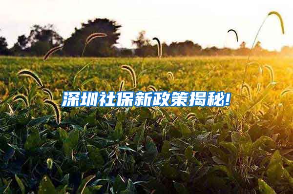 深圳社保新政策揭秘!