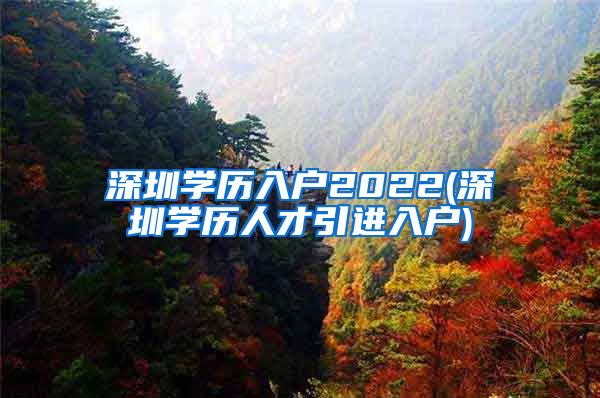 深圳学历入户2022(深圳学历人才引进入户)