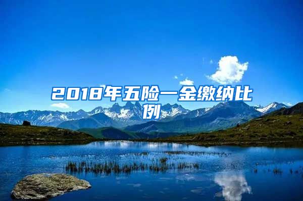 2018年五险一金缴纳比例