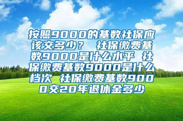 按照9000的基数社保应该交多少？ 社保缴费基数9000是什么水平 社保缴费基数9000是什么档次 社保缴费基数9000交20年退休金多少