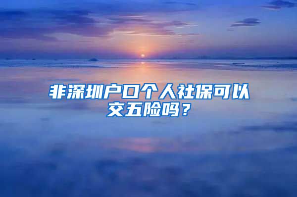 非深圳户口个人社保可以交五险吗？