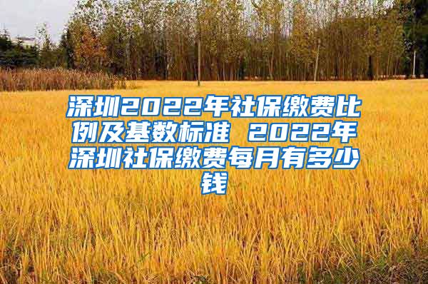 深圳2022年社保缴费比例及基数标准 2022年深圳社保缴费每月有多少钱