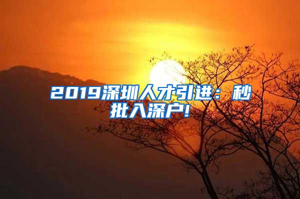 2019深圳人才引进：秒批入深户!