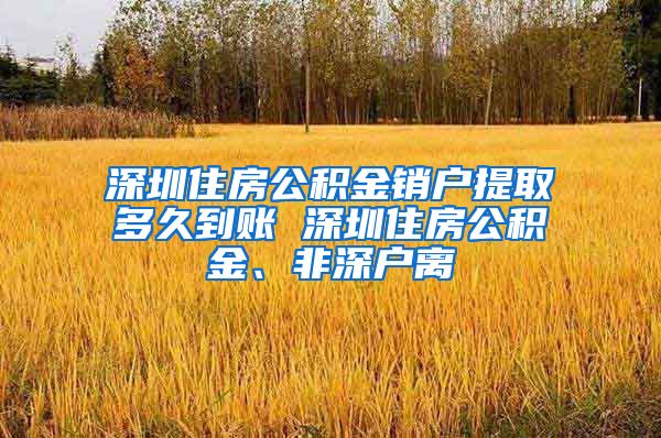 深圳住房公积金销户提取多久到账 深圳住房公积金、非深户离