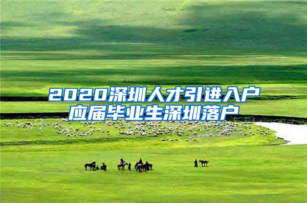 2020深圳人才引进入户应届毕业生深圳落户