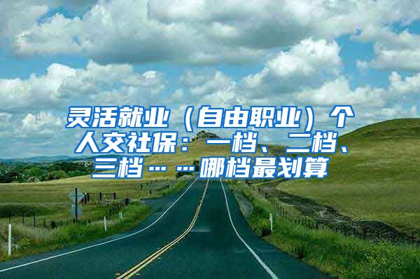 灵活就业（自由职业）个人交社保：一档、二档、三档……哪档最划算