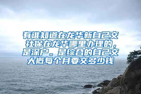 有谁知道在龙华新自己交社保在龙华哪里办理的，是深户。是综合的自己交大概每个月要交多少钱