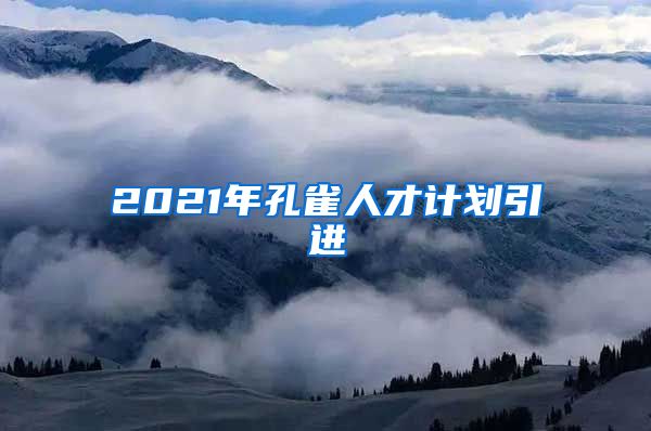 2021年孔雀人才计划引进