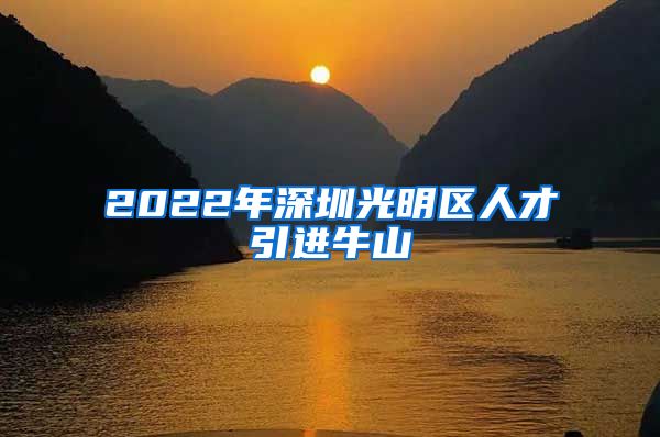 2022年深圳光明区人才引进牛山