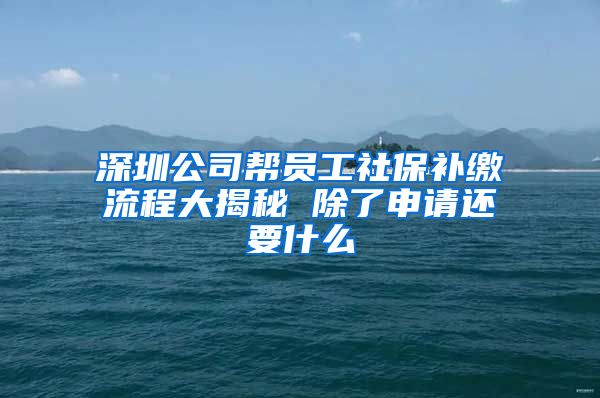 深圳公司帮员工社保补缴流程大揭秘 除了申请还要什么