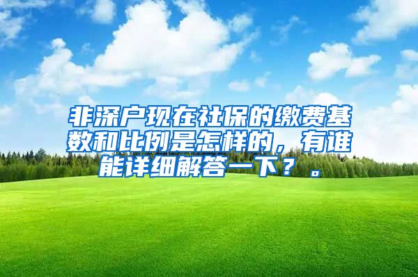 非深户现在社保的缴费基数和比例是怎样的，有谁能详细解答一下？。