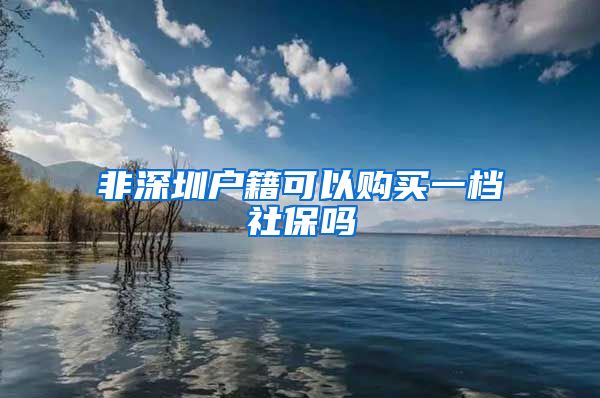 非深圳户籍可以购买一档社保吗