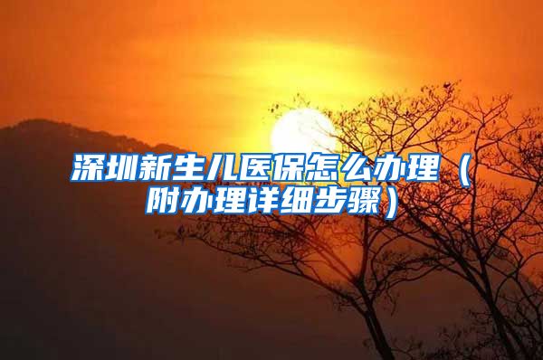 深圳新生儿医保怎么办理（附办理详细步骤）