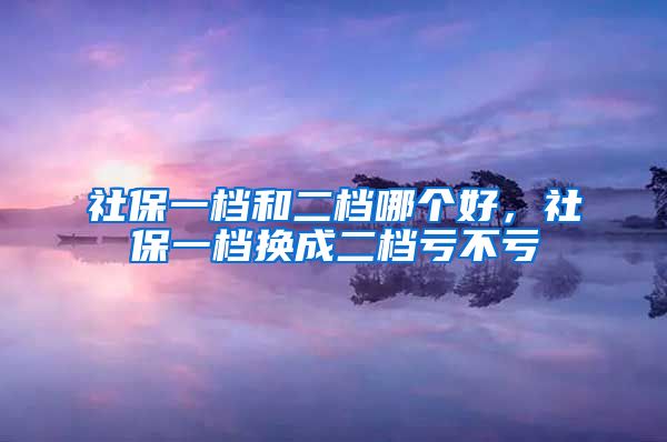 社保一档和二档哪个好，社保一档换成二档亏不亏