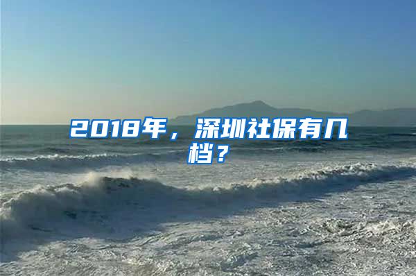 2018年，深圳社保有几档？