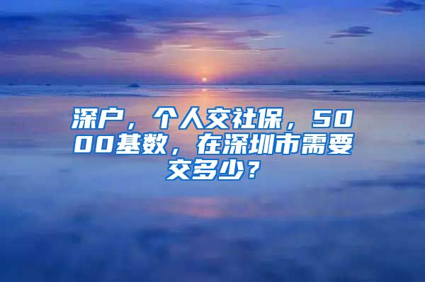 深户，个人交社保，5000基数，在深圳市需要交多少？