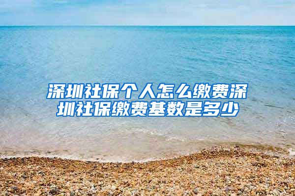 深圳社保个人怎么缴费深圳社保缴费基数是多少