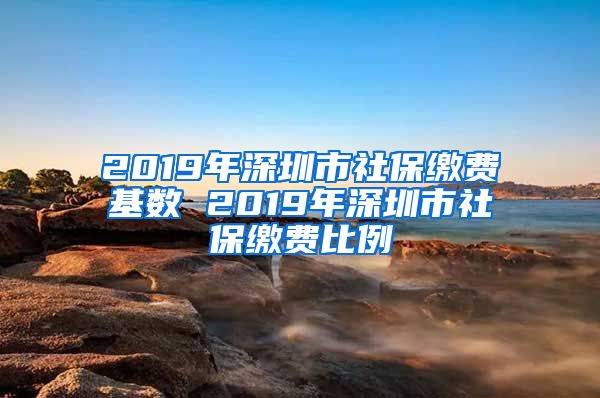 2019年深圳市社保缴费基数 2019年深圳市社保缴费比例