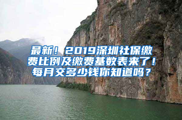 最新！2019深圳社保缴费比例及缴费基数表来了！每月交多少钱你知道吗？