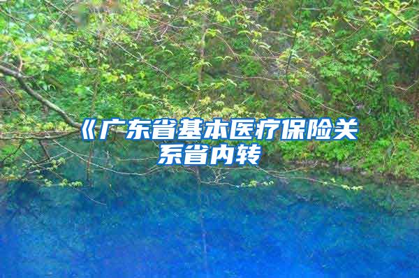 《广东省基本医疗保险关系省内转