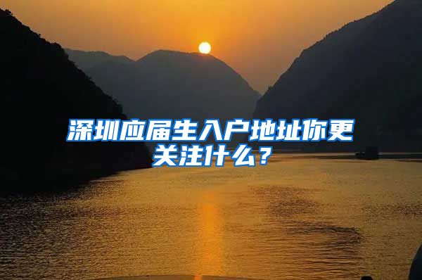 深圳应届生入户地址你更关注什么？