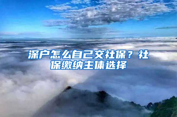 深户怎么自己交社保？社保缴纳主体选择