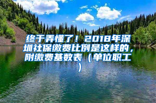 终于弄懂了！2018年深圳社保缴费比例是这样的，附缴费基数表（单位职工）