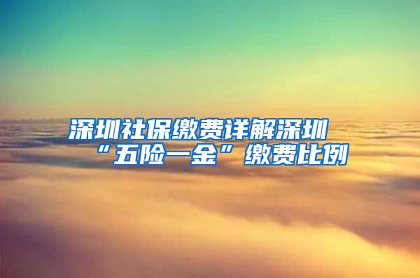 深圳社保缴费详解深圳“五险一金”缴费比例