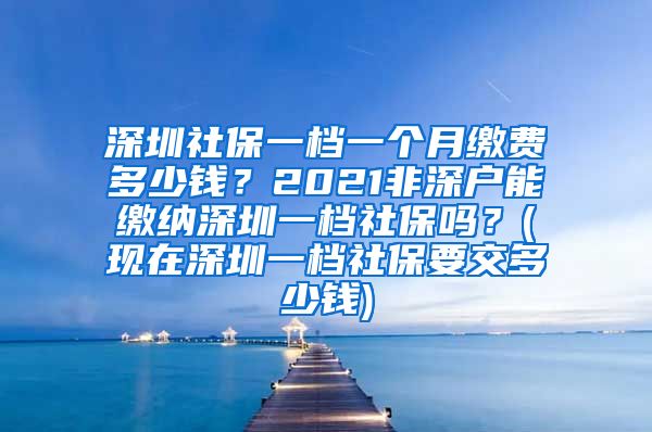 深圳社保一档一个月缴费多少钱？2021非深户能缴纳深圳一档社保吗？(现在深圳一档社保要交多少钱)