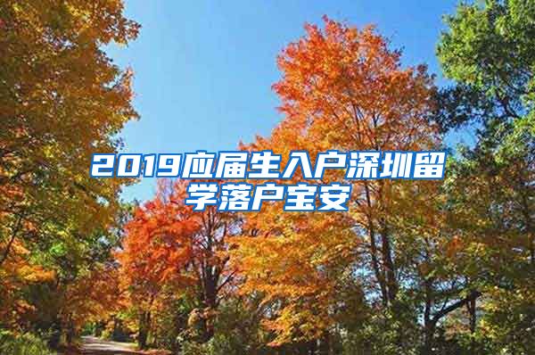 2019应届生入户深圳留学落户宝安