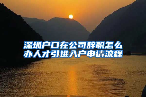 深圳户口在公司辞职怎么办人才引进入户申请流程