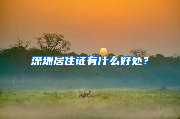 深圳居住证有什么好处？