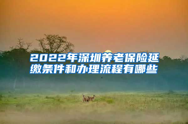 2022年深圳养老保险延缴条件和办理流程有哪些