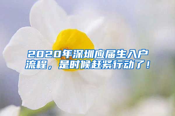 2020年深圳应届生入户流程，是时候赶紧行动了！