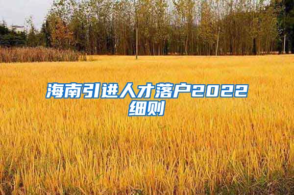 海南引进人才落户2022细则