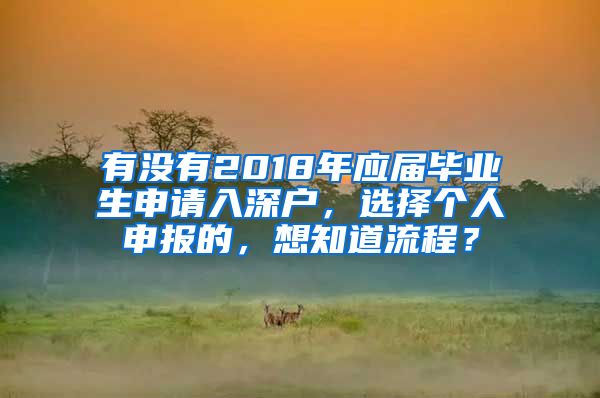 有没有2018年应届毕业生申请入深户，选择个人申报的，想知道流程？