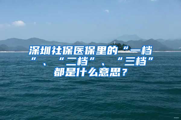 深圳社保医保里的“一档”、“二档”、“三档”都是什么意思？