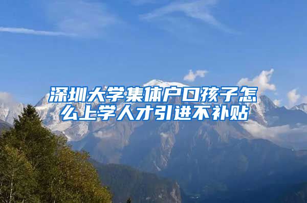 深圳大学集体户口孩子怎么上学人才引进不补贴