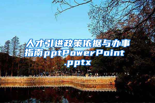 人才引进政策依据与办事指南pptPowerPoint .pptx