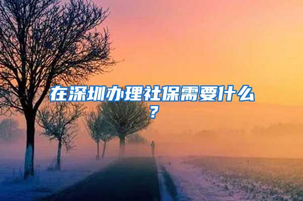 在深圳办理社保需要什么？