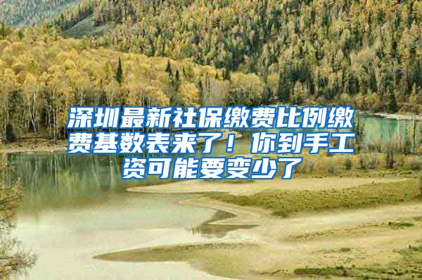 深圳最新社保缴费比例缴费基数表来了！你到手工资可能要变少了