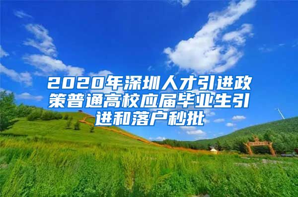 2020年深圳人才引进政策普通高校应届毕业生引进和落户秒批